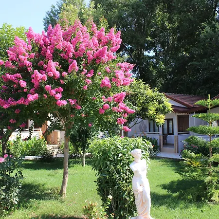 Hulusi Side