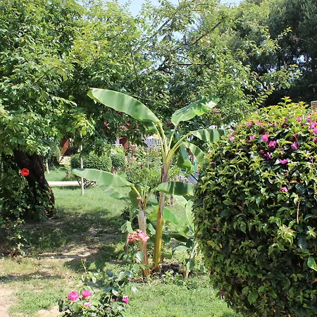 Hotel Hulusi *