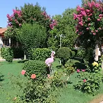 Hulusi 호텔 *